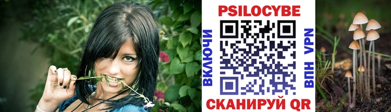 даркнет телеграм Малаховка Галлюциногенные грибы Psilocybine cubensis